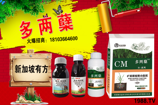 2021�����ַNֲǰ������������ֺ���ͨ�����к΅^(q��)�e��