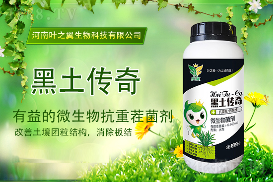 2021年10月19日尿素價格行情