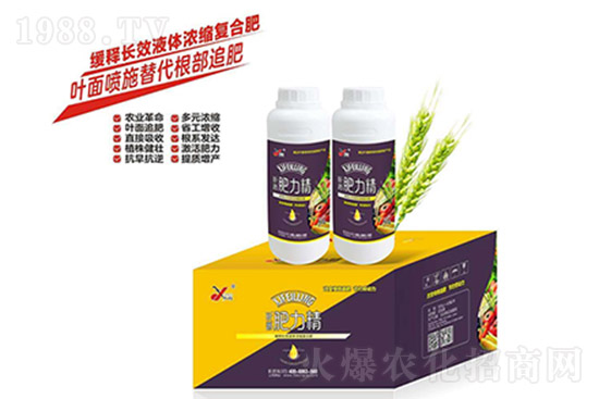 ��(f��)�Ϸ�߀Ҫ�q��ã�10��26�Տ�(f��)�Ϸʃr(ji��)���߄�(sh��)