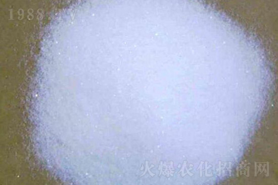 ⛷ʴ�q��⛷ʃr�������Ո�10��28�գ�