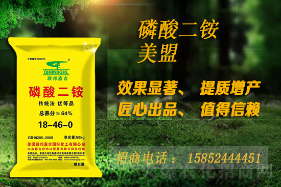 ���@����(w��n)�\�����������@�r���Ј����飨10��28�գ�