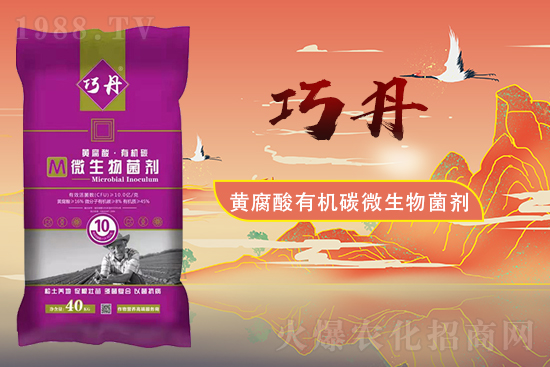 �����Pϵ�����A��ɽ�|�f��ȵ��m(x��)�s1988.TV��