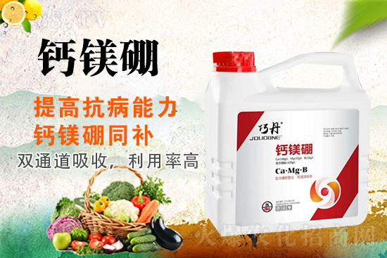 �����Pϵ�����A��ɽ�|�f��ȵ��m(x��)�s1988.TV��