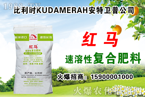 ��(f��)�Ϸʳ��S��(b��o)�r(ji��)��11��12�Տ�(f��)�Ϸʃr(ji��)������