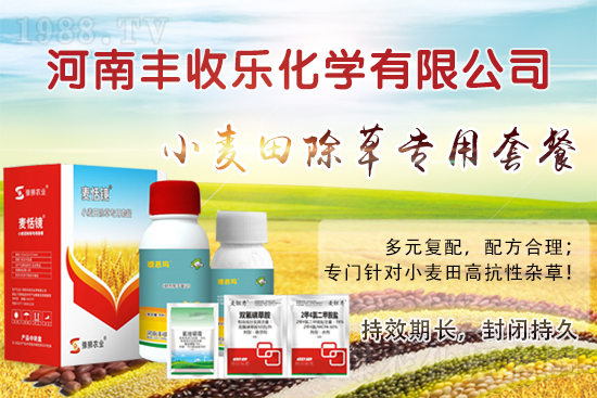 С�������ӳ��ݸ���ԓ��ô�x�ó��݄���