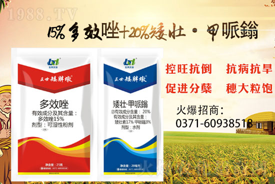 С���������ݲ��ɓ������I(y��)������Ч��������