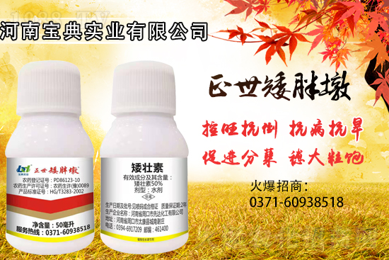 С���������ݲ��ɓ������I(y��)������Ч��������