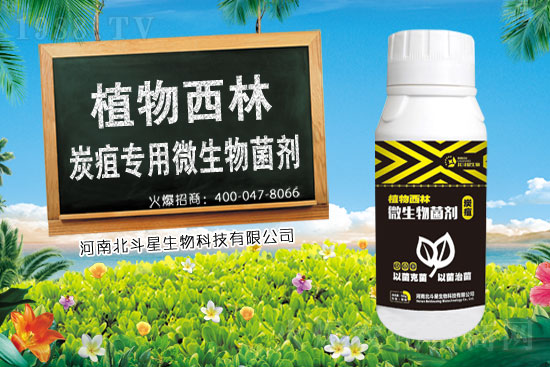 2021年2月3日農藥乙蒜素價格快訊