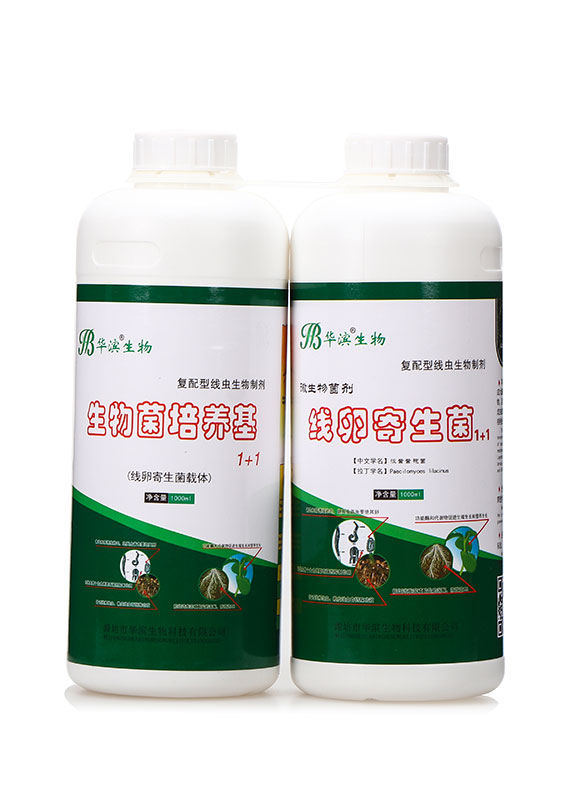 生物菌培養(yǎng)基+線卵寄生菌-華濱1
