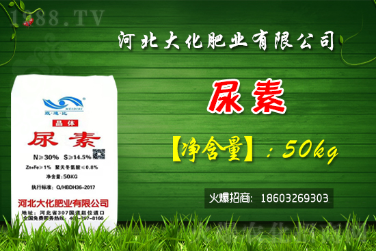 �t��������������X(qi��n)һ�ã��Nֲǰ�������