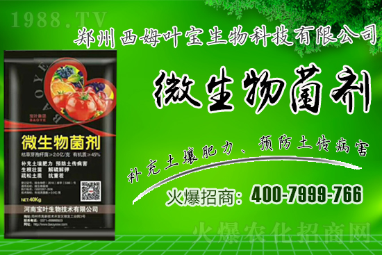 �����m��¶��������߲�Ʒ�N����Щ������Щ�Nֲע�������