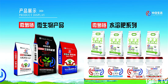 ���˟o(w��)ζ���ϲ����������㡱�ǻ����ǵĵ���