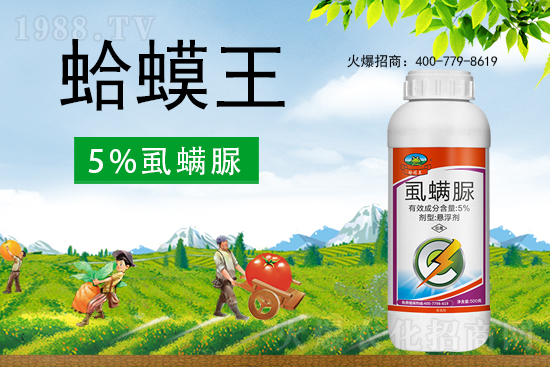 ʭ����������ô�������x���c��ʲô��