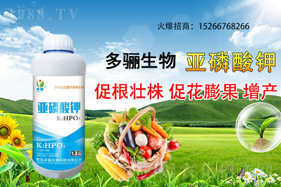 3�·��m�ϷNֲʲôˎ������Щˎ�ķNֲǰ������ٍ�X(qi��n)