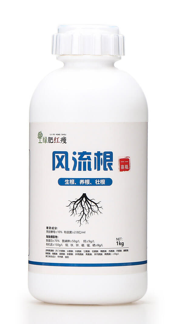 �L�����������B(y��ng)���Ѹ��� �G��5