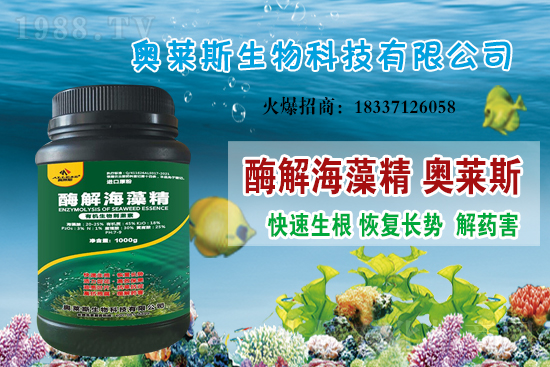 �󶹃r��߀���ϝq�������մ󶹃r������