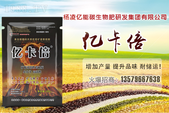 ���}�ۮa(ch��n)�����҇���Щʡ�������}������Щ��ҊƷ�N��