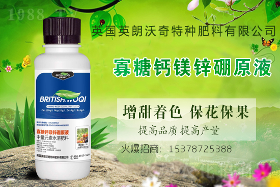 Ӣ������ɹ����s1988.TV���y�ֹ���(chu��ng)��(zh��n)����