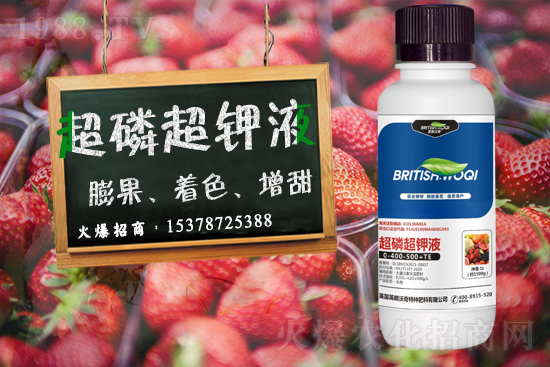 Ӣ������ɹ����s1988.TV���y�ֹ���(chu��ng)��(zh��n)����