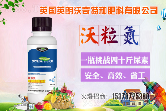 Ӣ������ɹ����s1988.TV���y�ֹ���(chu��ng)��(zh��n)����