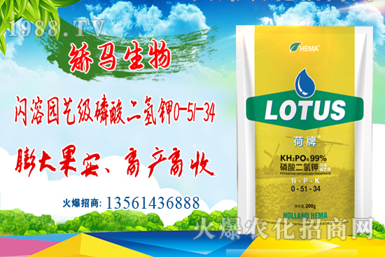 鉀肥價格大漲!2021年6月16日鉀肥價格行情日報