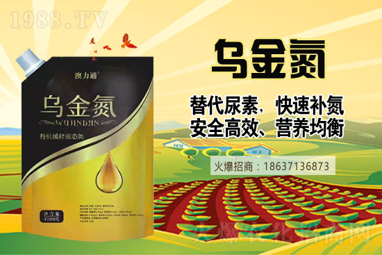 ��������������Σ�2021��6��19�����؃r�������Ո�