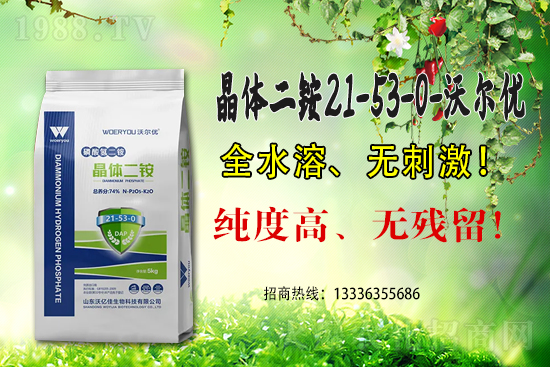 一銨延續(xù)高位,2021.6.25磷銨價格行情早報