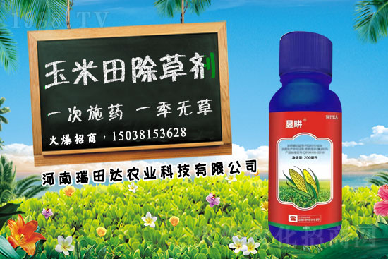 �r(ji��)����݄�6