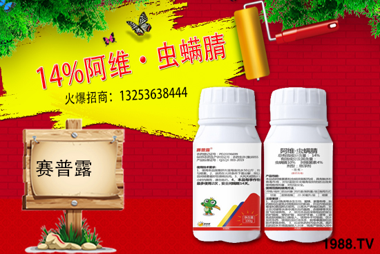 ِ��¶����𱬁��u���ٺ����r(n��ng)�����̾W(w��ng)�_��(chu��ng)���x�ͣ�