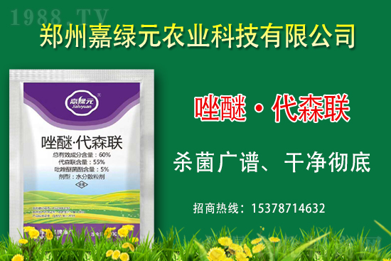 �������������ξGԪ�r(n��ng)�I(y��)�ٺ�1988.TV������(chu��ng)���x����