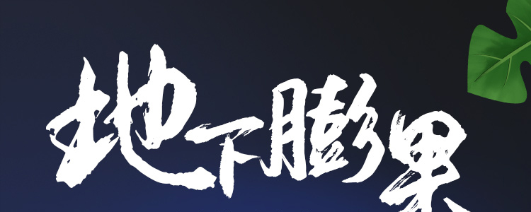 �������_01