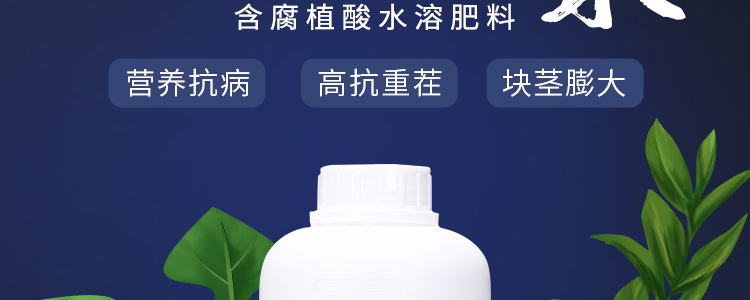 �������_02