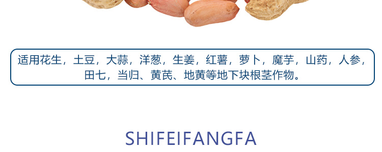 �������_11