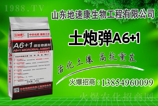    �����P(gu��n)ϵ�����A��ɽ�|���ٿ��c1988.TV�_����ƪ����