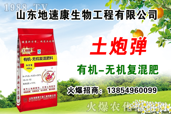    �����P(gu��n)ϵ�����A��ɽ�|���ٿ��c1988.TV�_����ƪ����