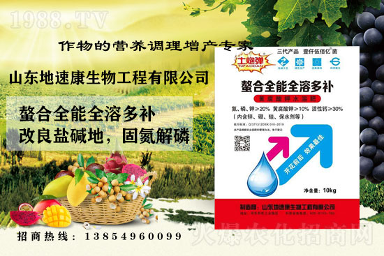    �����P(gu��n)ϵ�����A��ɽ�|���ٿ��c1988.TV�_����ƪ�£�