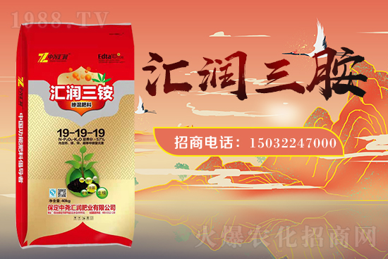 �r(n��ng)���W(w��ng)ϲӭ�����ѣ��Ј�R�����s1988.TV�y�ִ����������E��