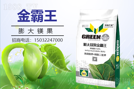 �r(n��ng)���W(w��ng)ϲӭ���������Ј�R�����s1988.TV�y�ִ����������E��