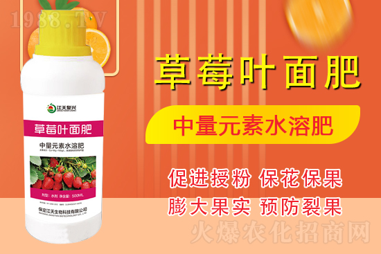 �����l(f��)չ������(chu��ng)δ�����������ﺞ�s1988.TV������(chu��ng)���x����