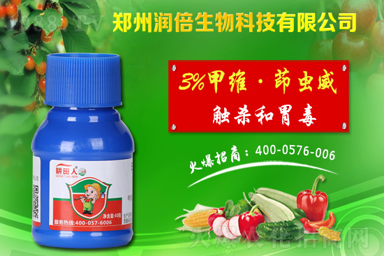 Σ��ʢ�ڵ�������η������Ҙ����x��Σ���c������