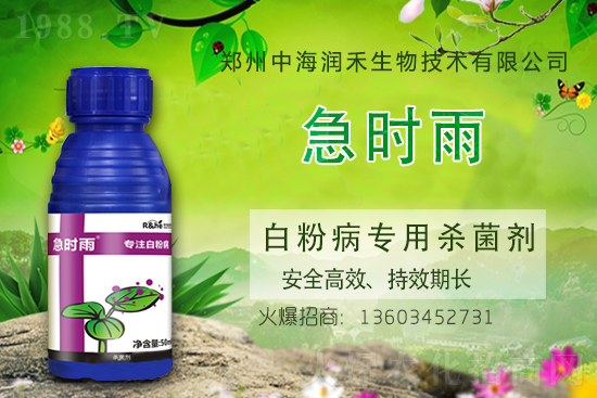 �������r��