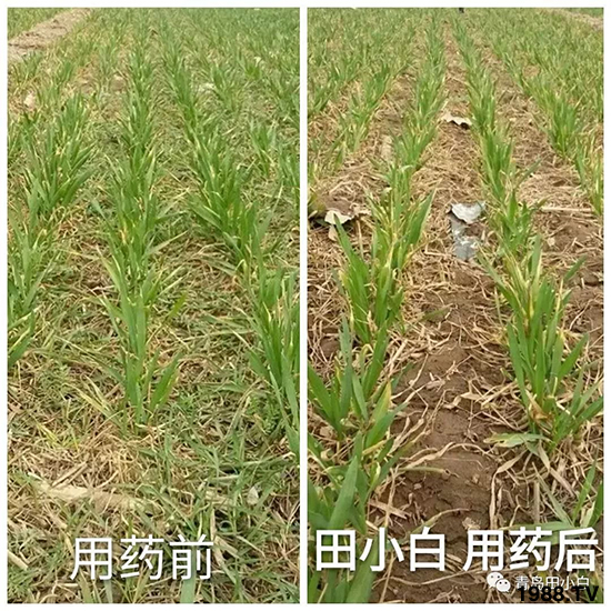 С���s������(ji��)��(ji��)�����E�ɞ�(z��i)����ô�k��С�����݄���ô�x