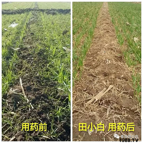 С���s������(ji��)��(ji��)�����E�ɞ�(z��i)����ô�k��С�����݄���ô�x