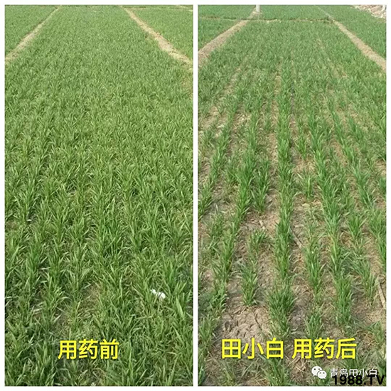 С���s������(ji��)��(ji��)�����E�ɞ�(z��i)����ô�k��С�����݄���ô�x