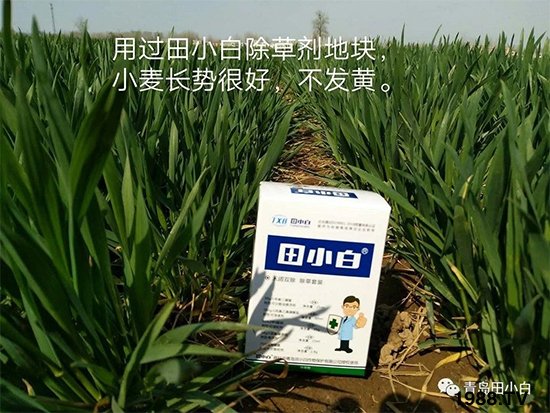 С���s������(ji��)��(ji��)�����E�ɞ�(z��i)����ô�k��С�����݄���ô�x