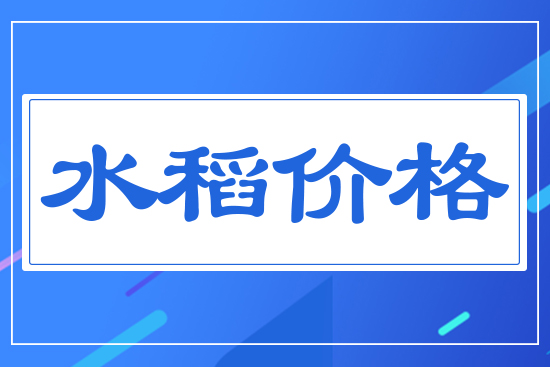 水稻價格行