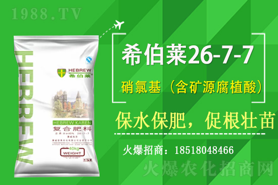 ��(f��)�Ϸʃr����������Տ�(f��)�Ϸʃr��2��17��