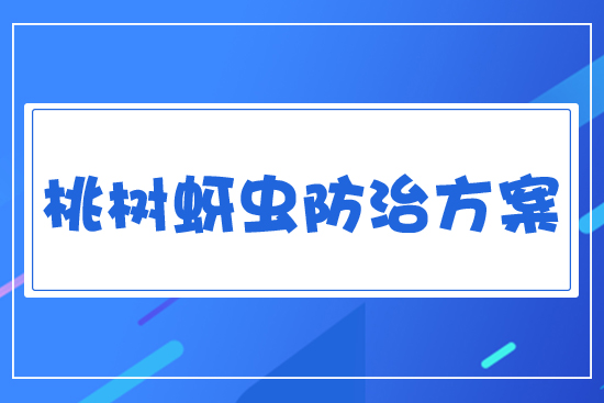 �Ҙ�(sh��)���x(ch��ng)