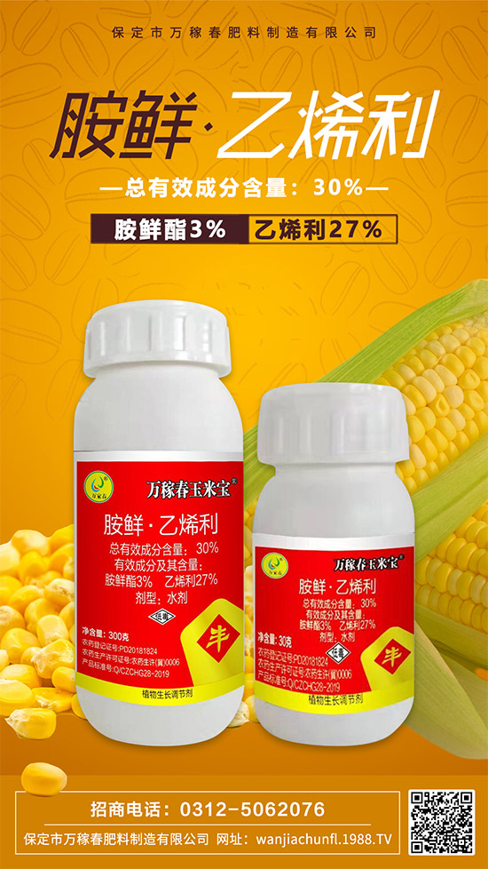 �������f(w��n)�ڴ������������޹�˾3