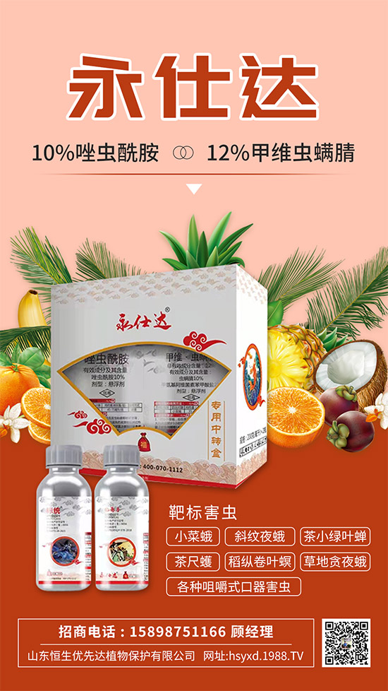 С�˶��η����y��С�˶�Σ���Y����δ�ʩ��